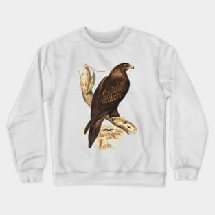 Wedged tailed eagle Crewneck Sweatshirt